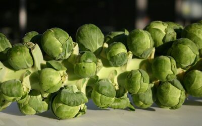 Why do some people hate Brussels sprouts?